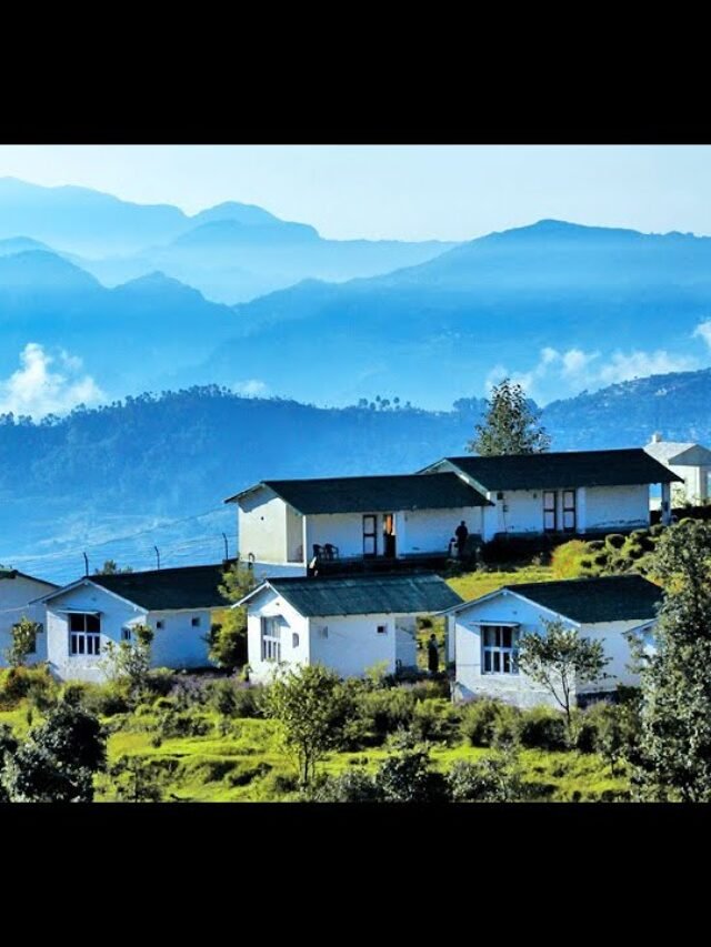 Almora Travel Guide3